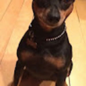 Meet your Posher, Willie